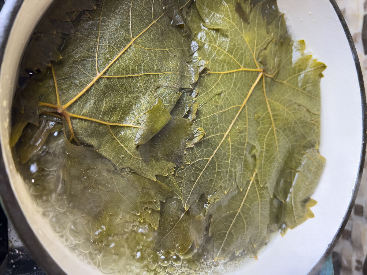 Vegetarian Dolma With Pomegranate Molasses