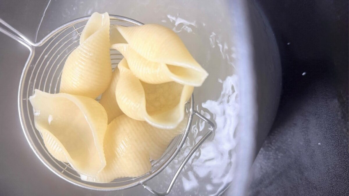 Cooked pasta shells drained and ready to be stuffed, cooked to al dente perfection.