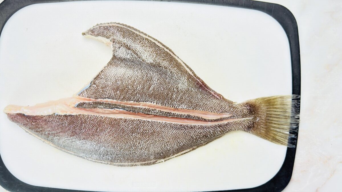 Close-up of cuts along both sides of the spine on the back of a whole Petrale sole.